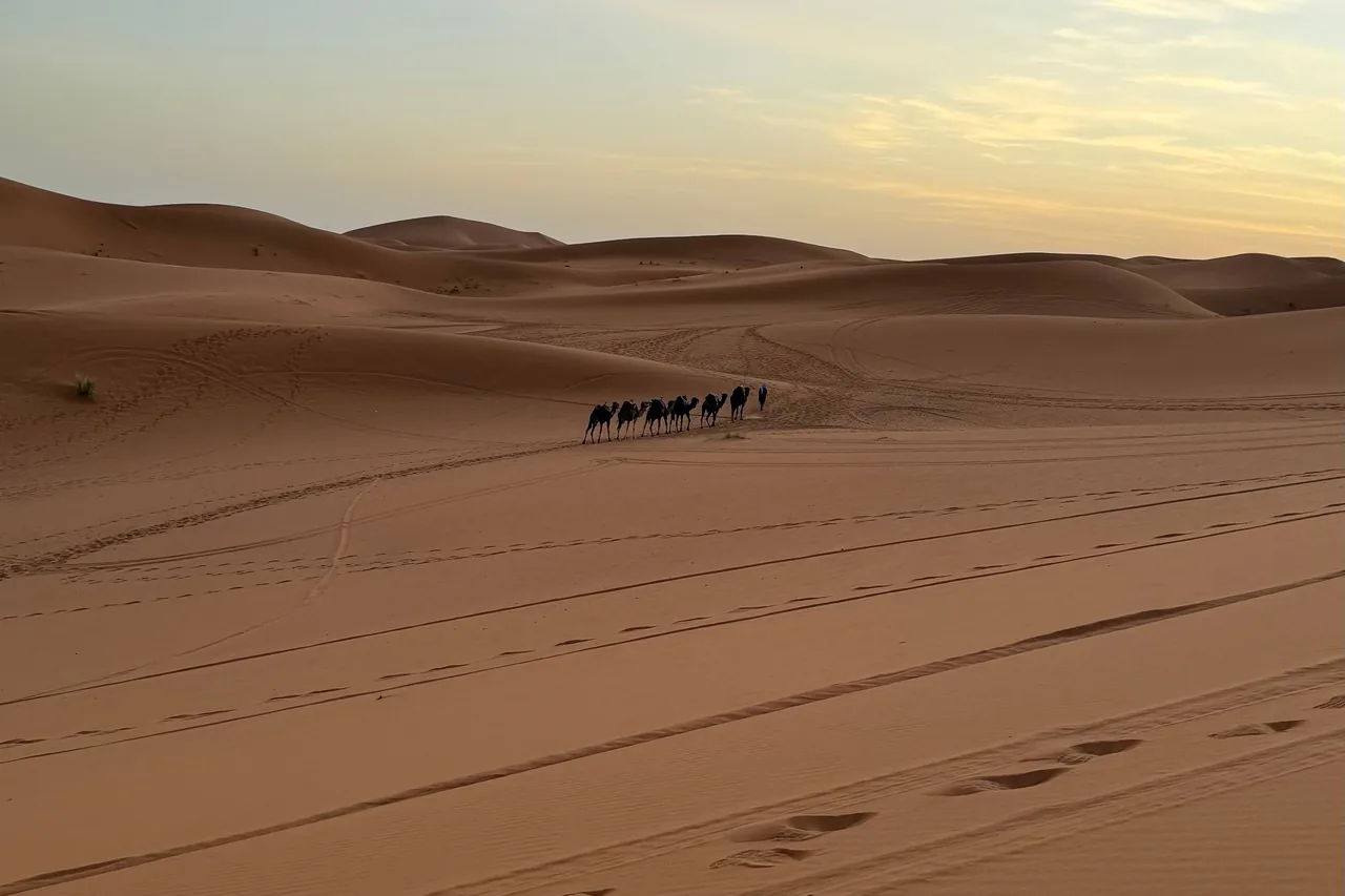 A distant camel caravan crossing dunes beneath warm clouds
