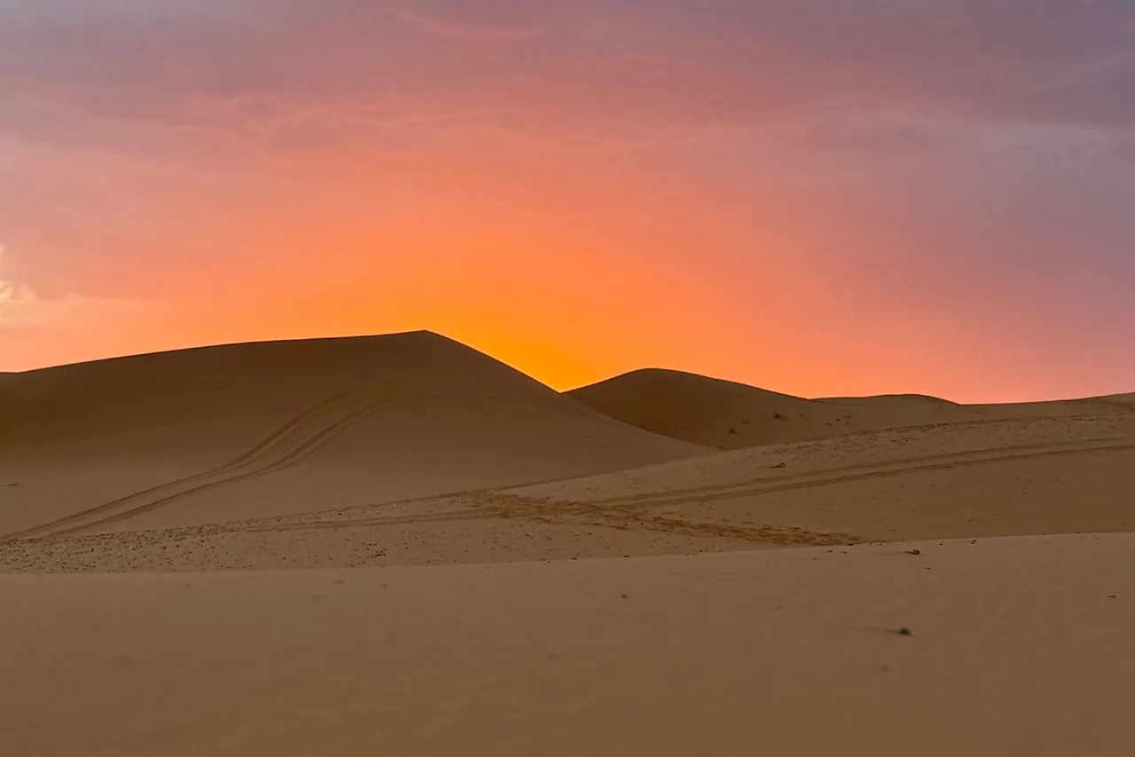 Sand dunes beneath a soft pink evening sky