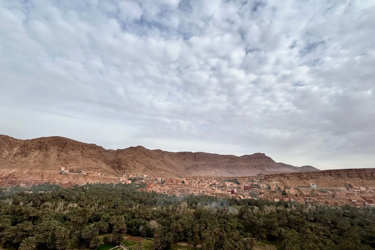 Palm trees and earth-coloured buildings below a rocky ridge